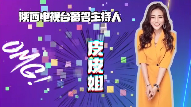 陕西电视台皮皮姐带你了解万通！
